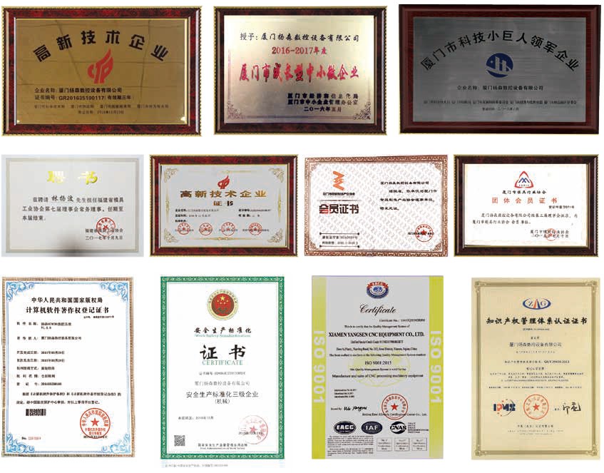 Yangsen Another Certificate